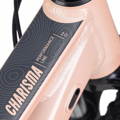 CTM-CHARISMA-2-0-27-5-matna-staroruzova-perlet-siva-d2